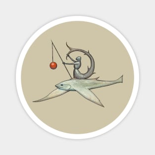 Hieronymus Bosch: Flying Fish Knight Magnet